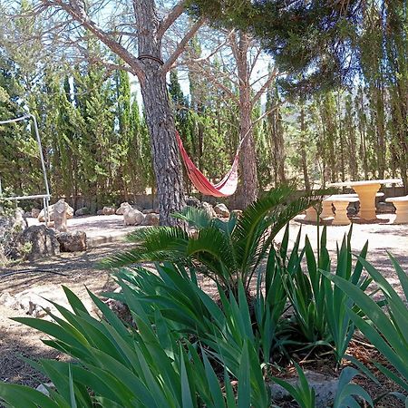 Casa Rural El Carmen De La Sierra 예끌라 외부 사진