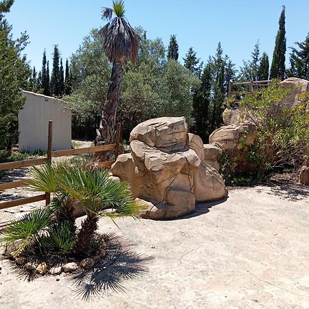 Casa Rural El Carmen De La Sierra 예끌라 외부 사진