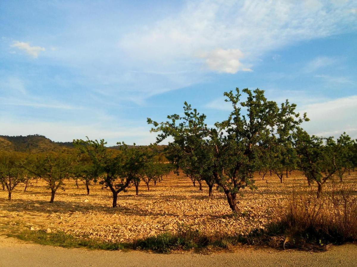 Casa Rural El Carmen De La Sierra 예끌라 외부 사진