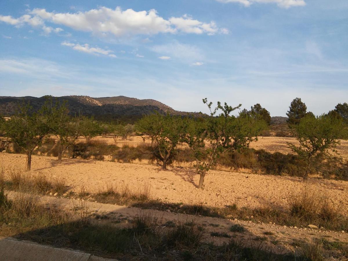 Casa Rural El Carmen De La Sierra 예끌라 외부 사진