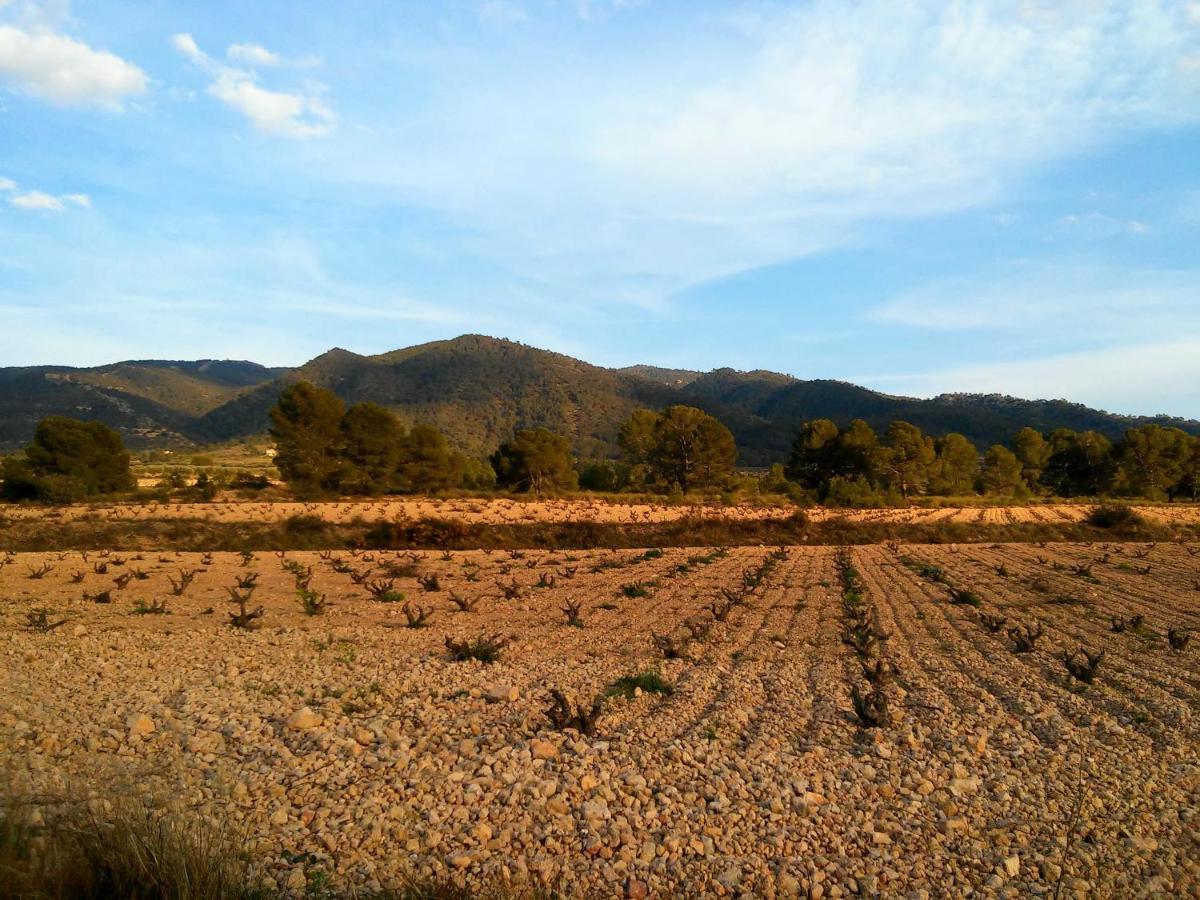 Casa Rural El Carmen De La Sierra 예끌라 외부 사진