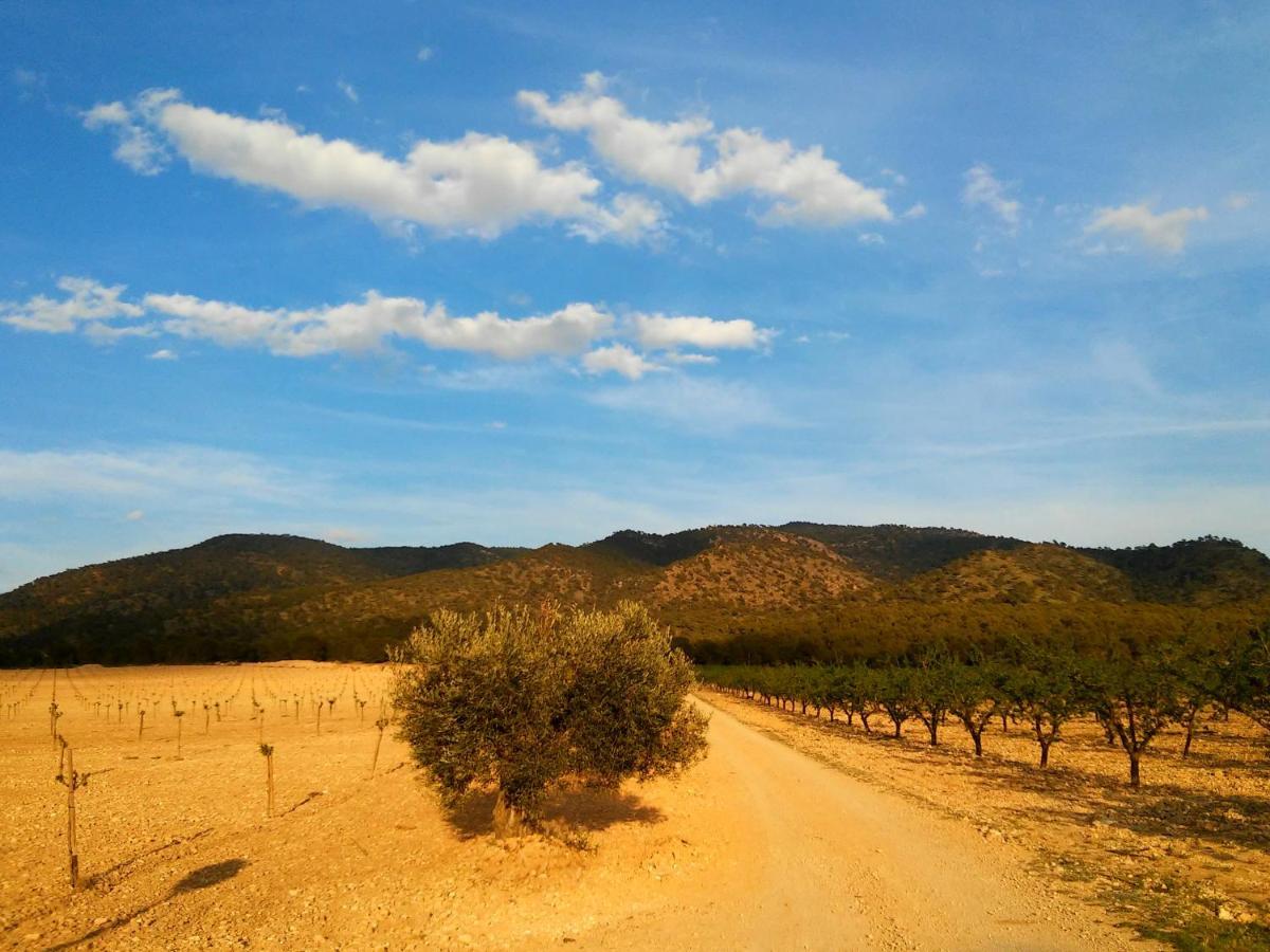 Casa Rural El Carmen De La Sierra 예끌라 외부 사진