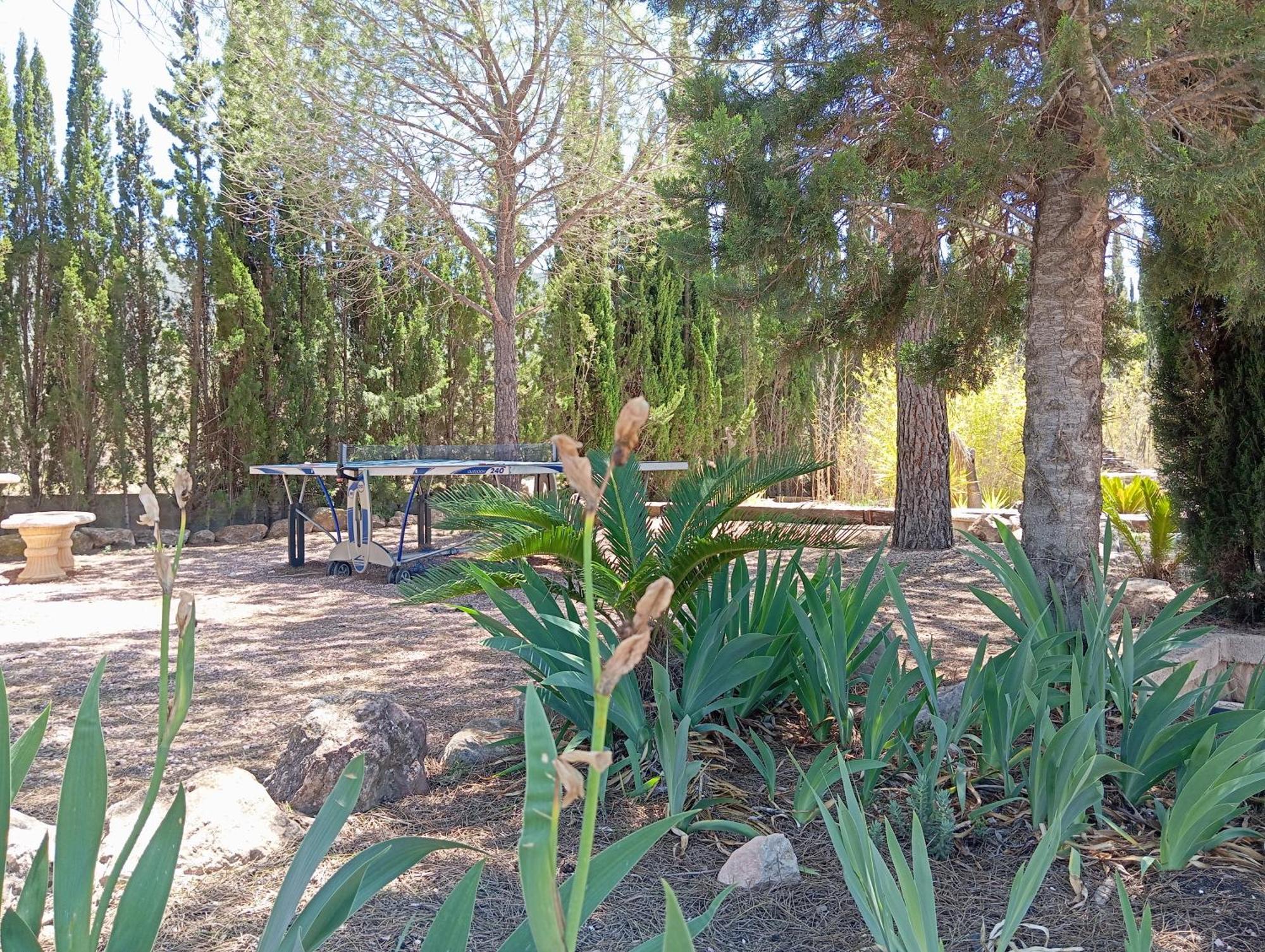 Casa Rural El Carmen De La Sierra 예끌라 외부 사진